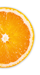 Rodaja de naranja